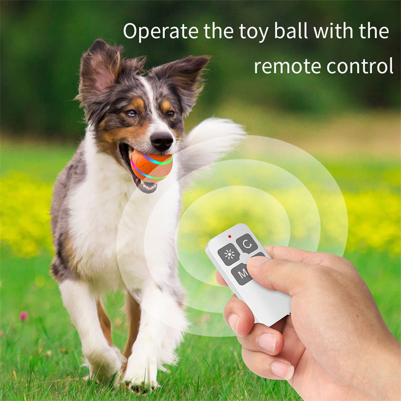 Amazing Self Rotating Ball To Keep Your Cat Busy