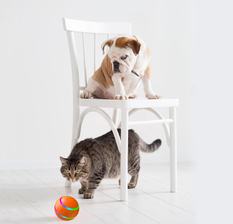 Amazing Self Rotating Ball To Keep Your Cat Busy